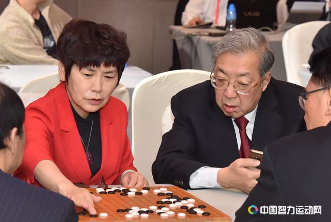 中国围棋协会主席林建超、副主席华学明观战